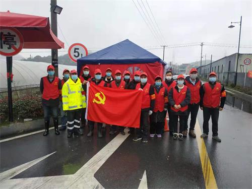 閃耀黨徽，逆行戰(zhàn)“疫”！一次特殊的主題黨日活動